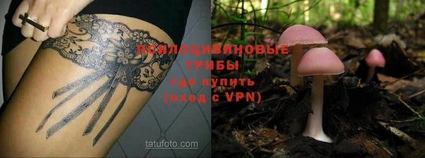 индика Гусь-Хрустальный