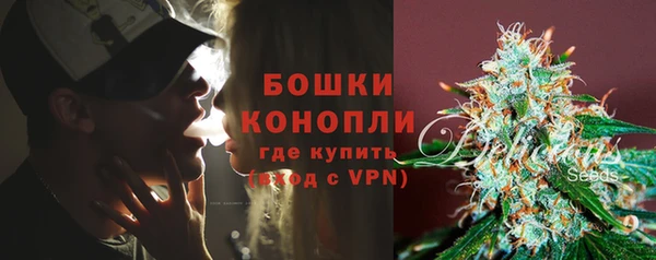 индика Гусь-Хрустальный