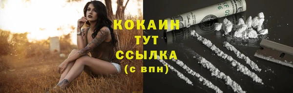 индика Гусь-Хрустальный