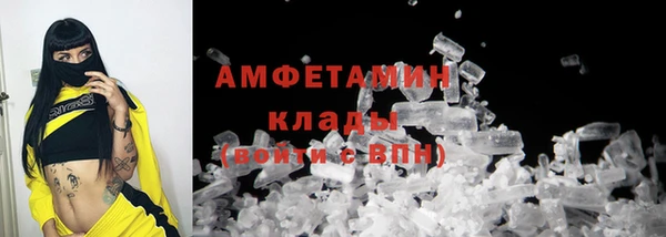 индика Гусь-Хрустальный