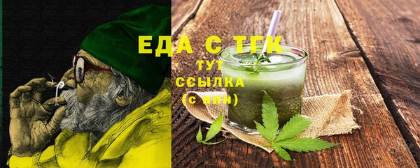 индика Гусь-Хрустальный