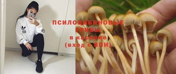 спиды Гусев