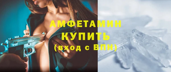 индика Гусь-Хрустальный