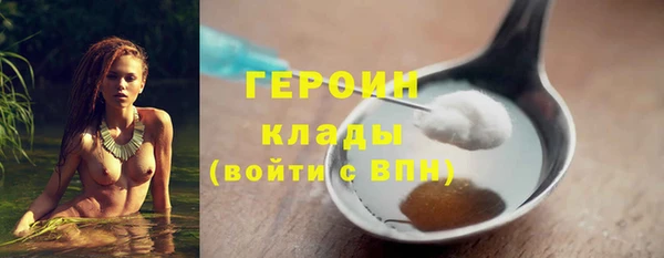 индика Гусь-Хрустальный