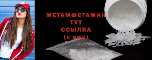 индика Гусь-Хрустальный