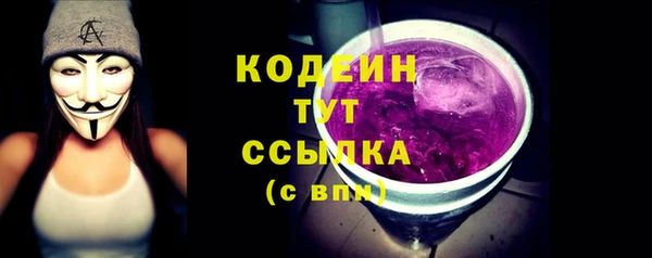 спиды Гусев