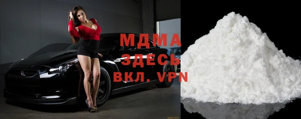 индика Гусь-Хрустальный