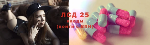 индика Гусь-Хрустальный