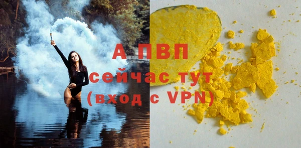 индика Гусь-Хрустальный