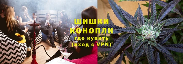 спиды Гусев