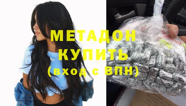 индика Гусь-Хрустальный