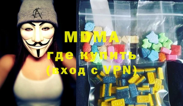 индика Гусь-Хрустальный