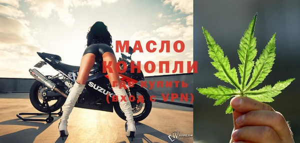 спиды Гусев