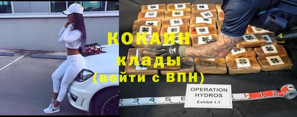 спиды Гусев