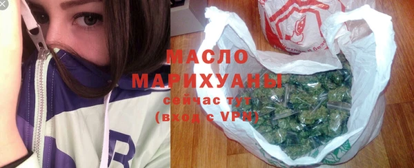 индика Гусь-Хрустальный