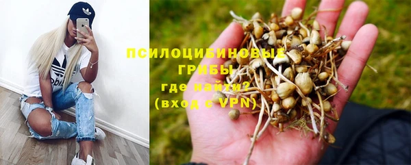 спиды Гусев