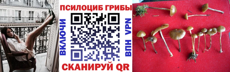 маркетплейс какой сайт  Омутнинск  Псилоцибиновые грибы GOLDEN TEACHER 